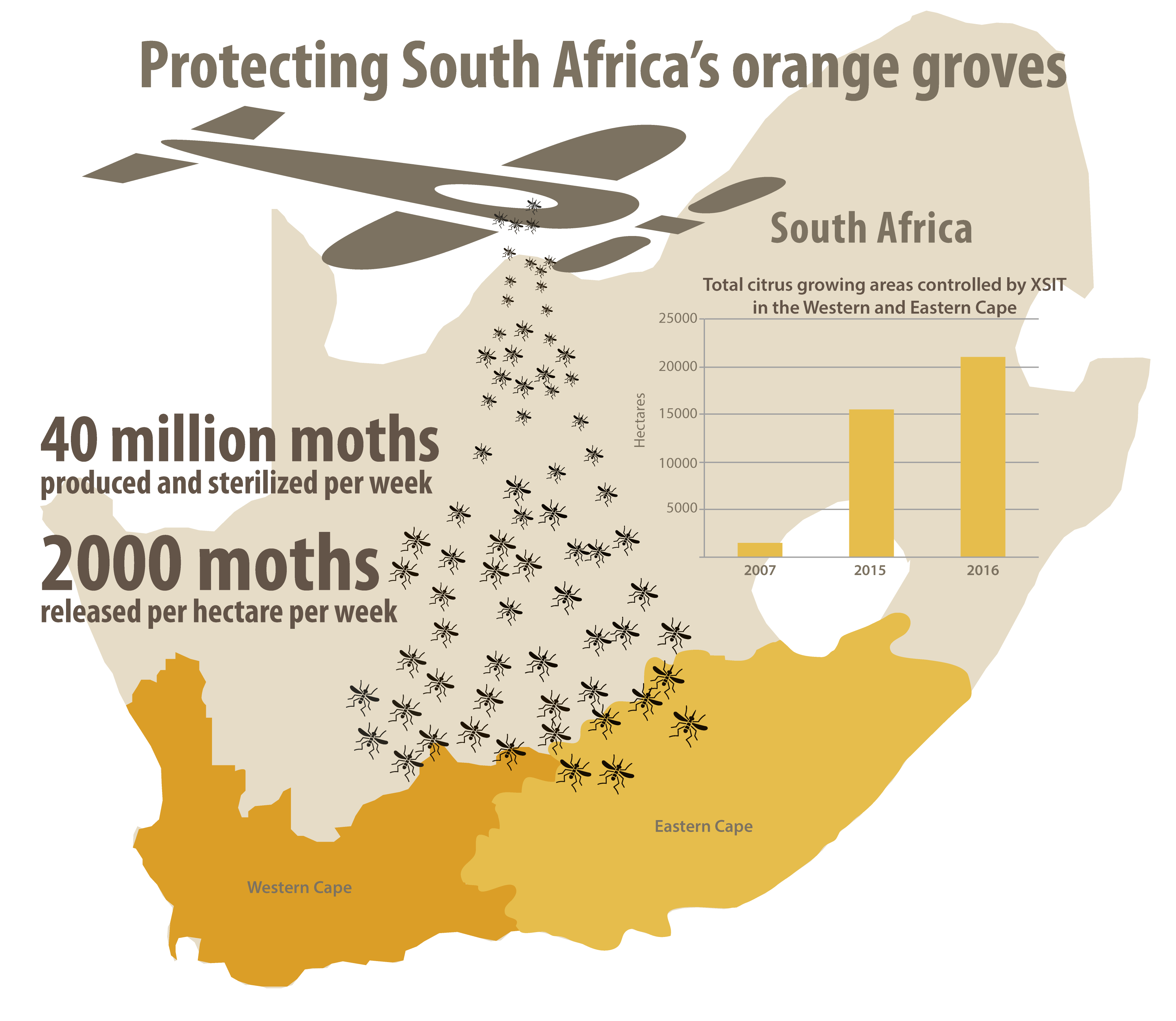 infographic-mothsrelease.png