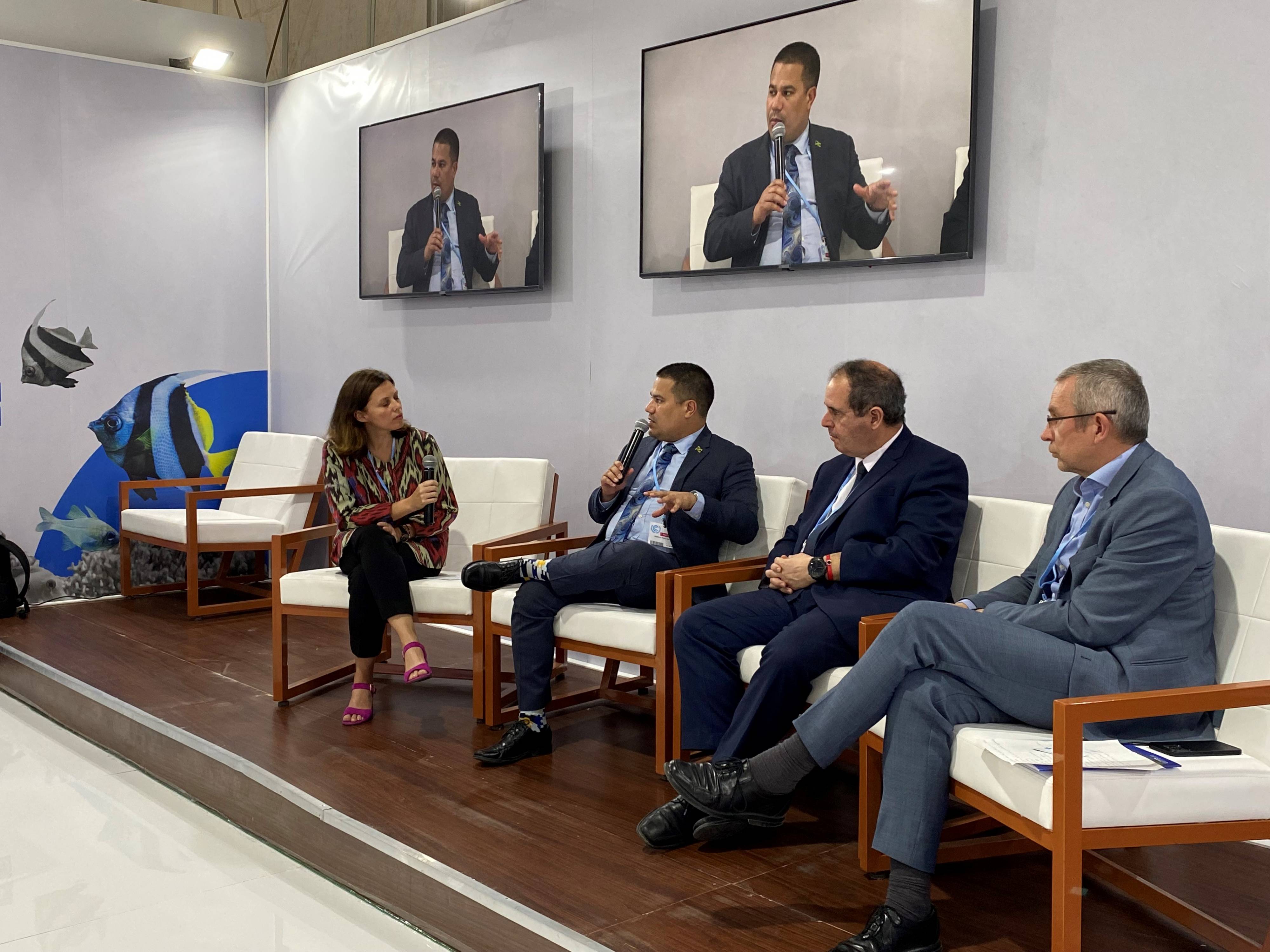 2022-11-17_island_states_panellists.jpg