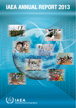 annual_report2013