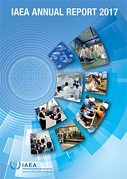 annual_report2017