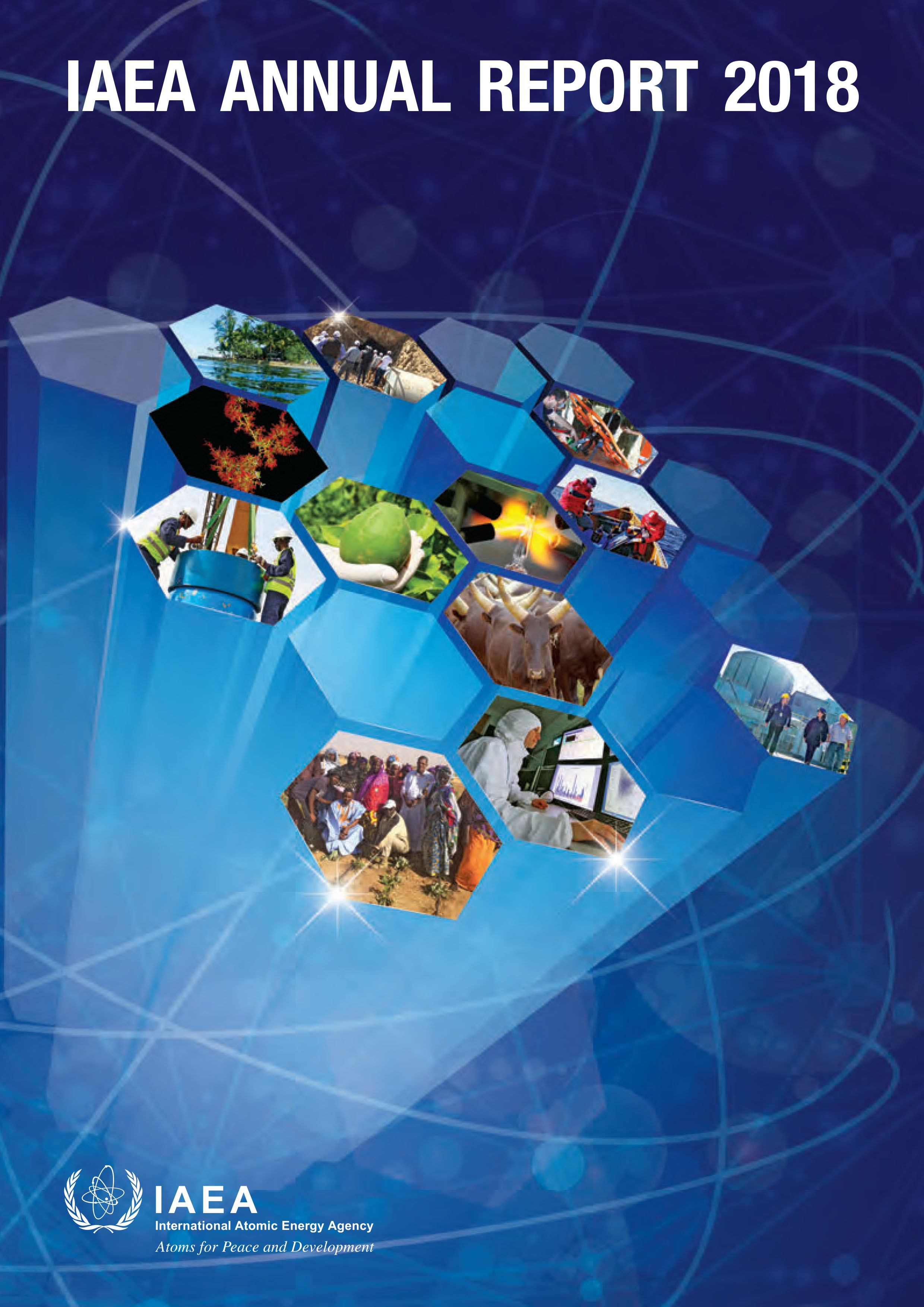 annual_report2018