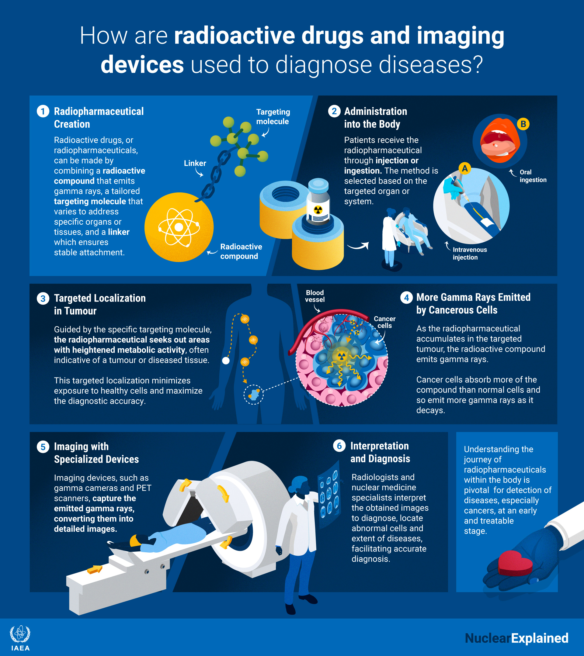 An infographic showing how radiopharmaceuticals are used in diagnosis 3-radiopharmaceuticals-diagnose.jpg