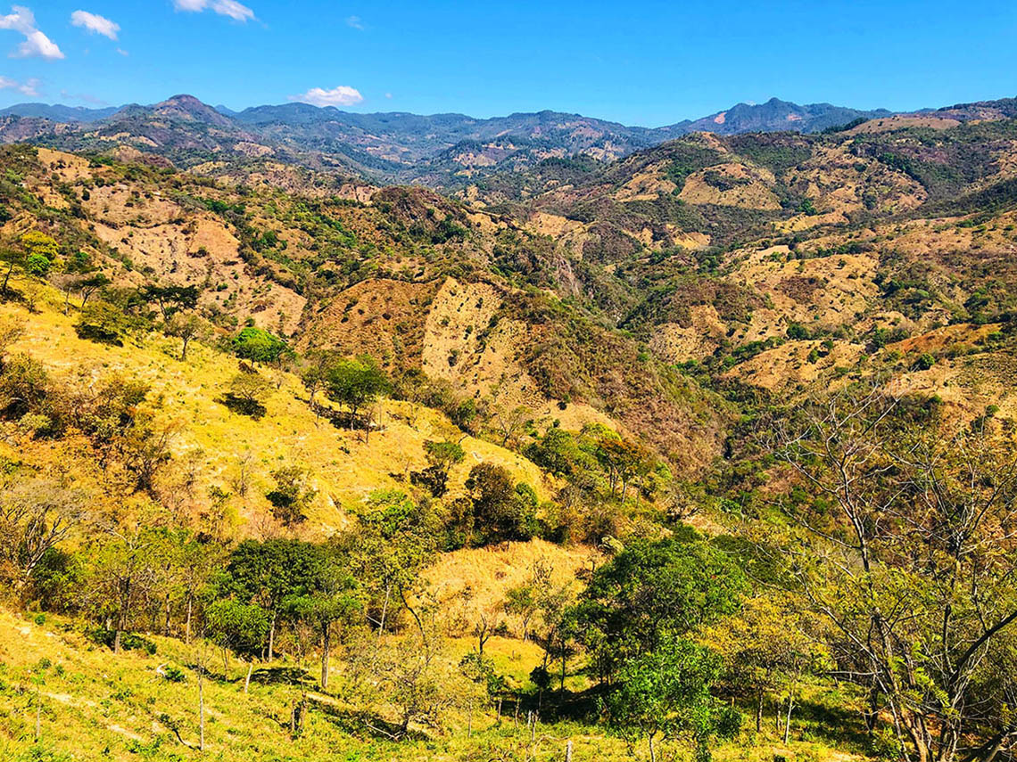3_deforested-area_resized.jpg