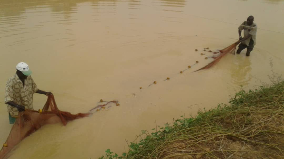 aquaculture-farming-1140x640.jpg