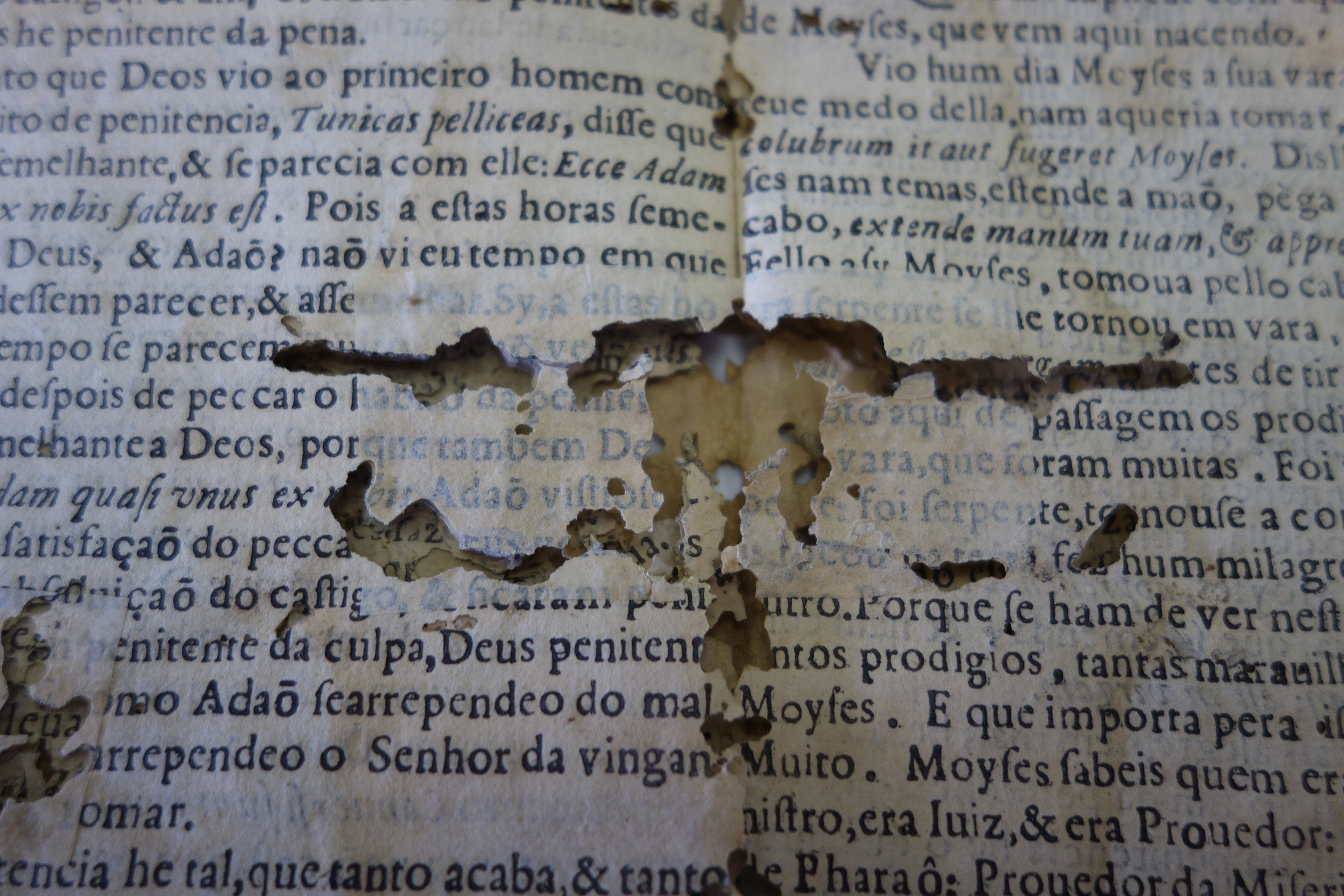 brazil-culturalheritage-1140x640.jpg