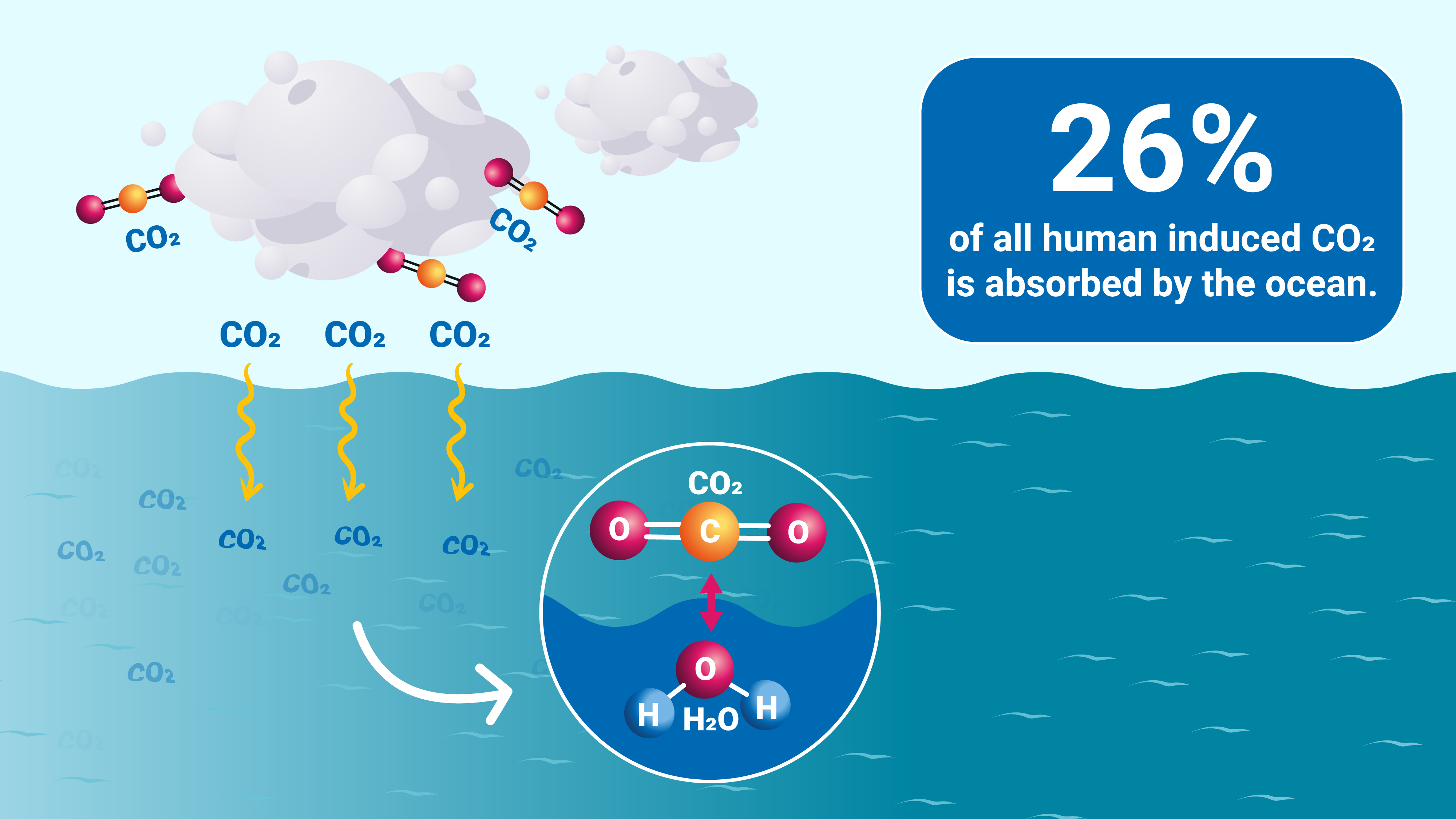 bulletin-ocean_acidification-v2.9_webstory-03_update.jpg