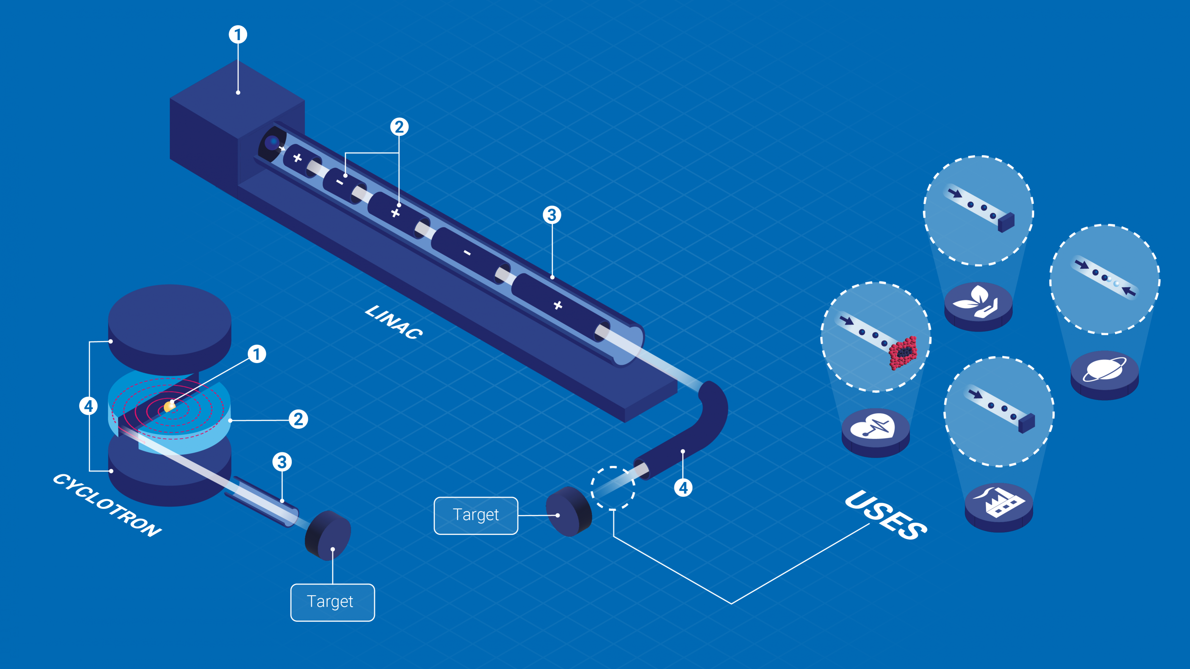 bulletin-particle_accelerator-infographic-webstory_2.png