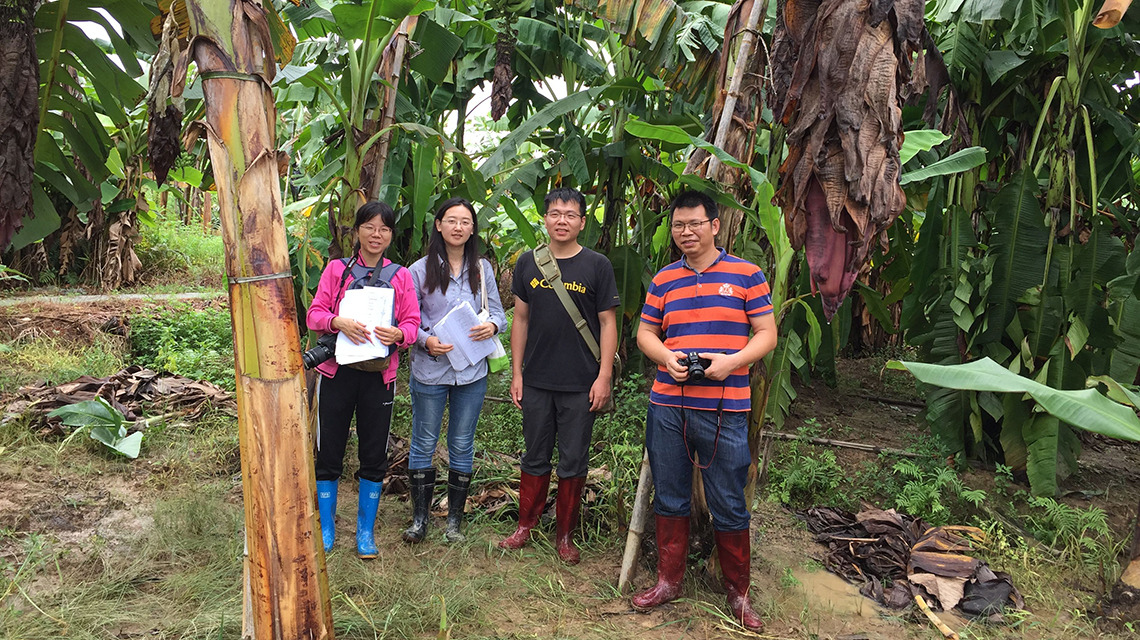 chinese-plant-breeders-1140x640.jpg