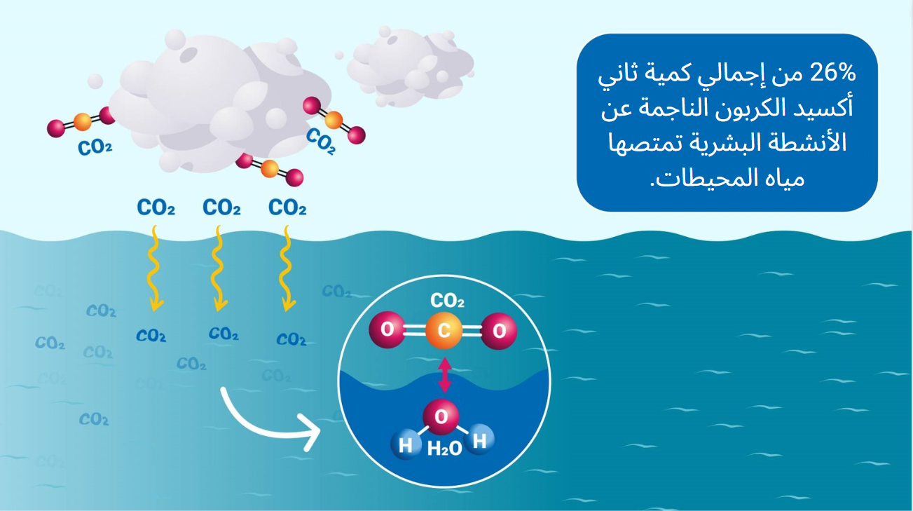 co2-2.png