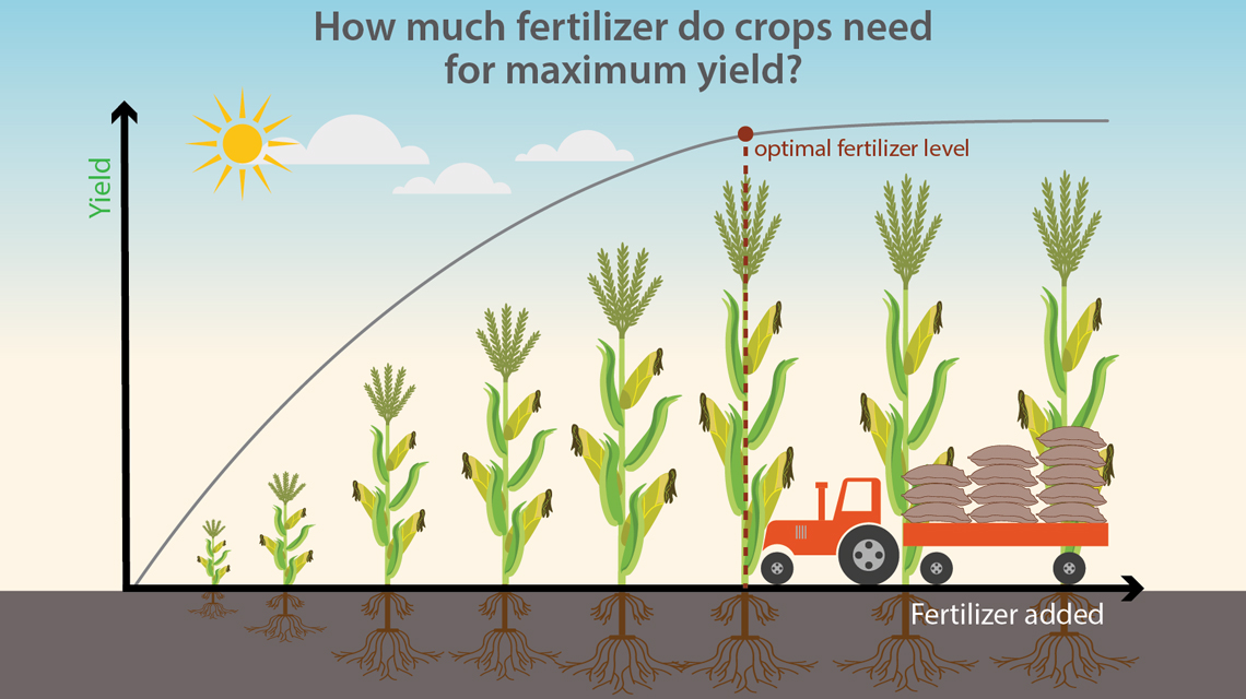 crops-fertilzer-1140x640.jpg
