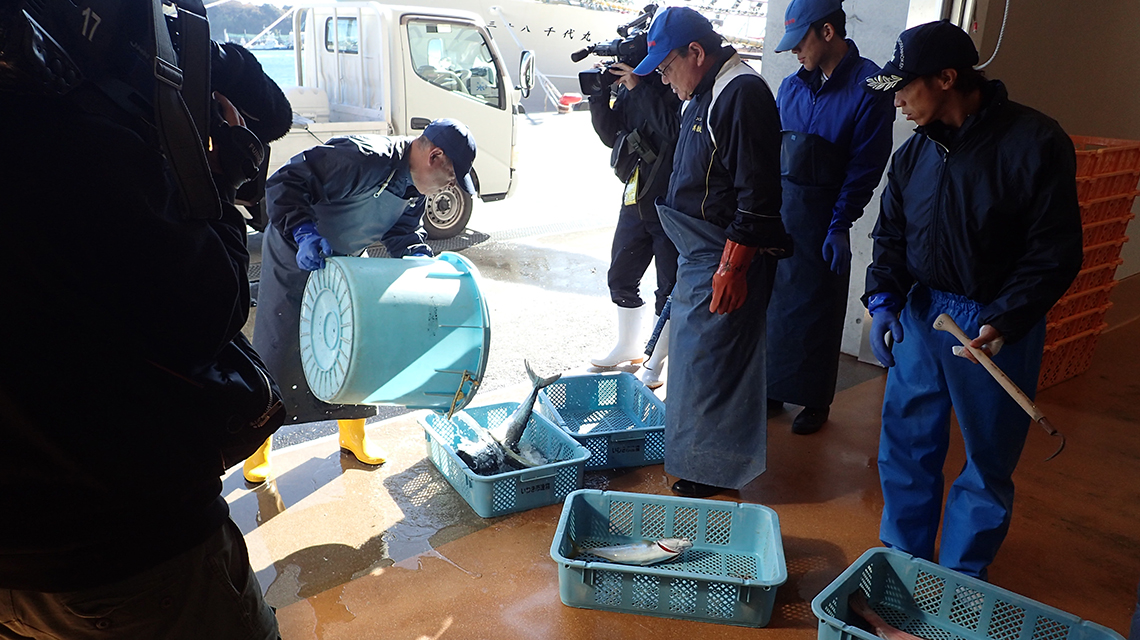 fishsamples1_1140x640.jpg