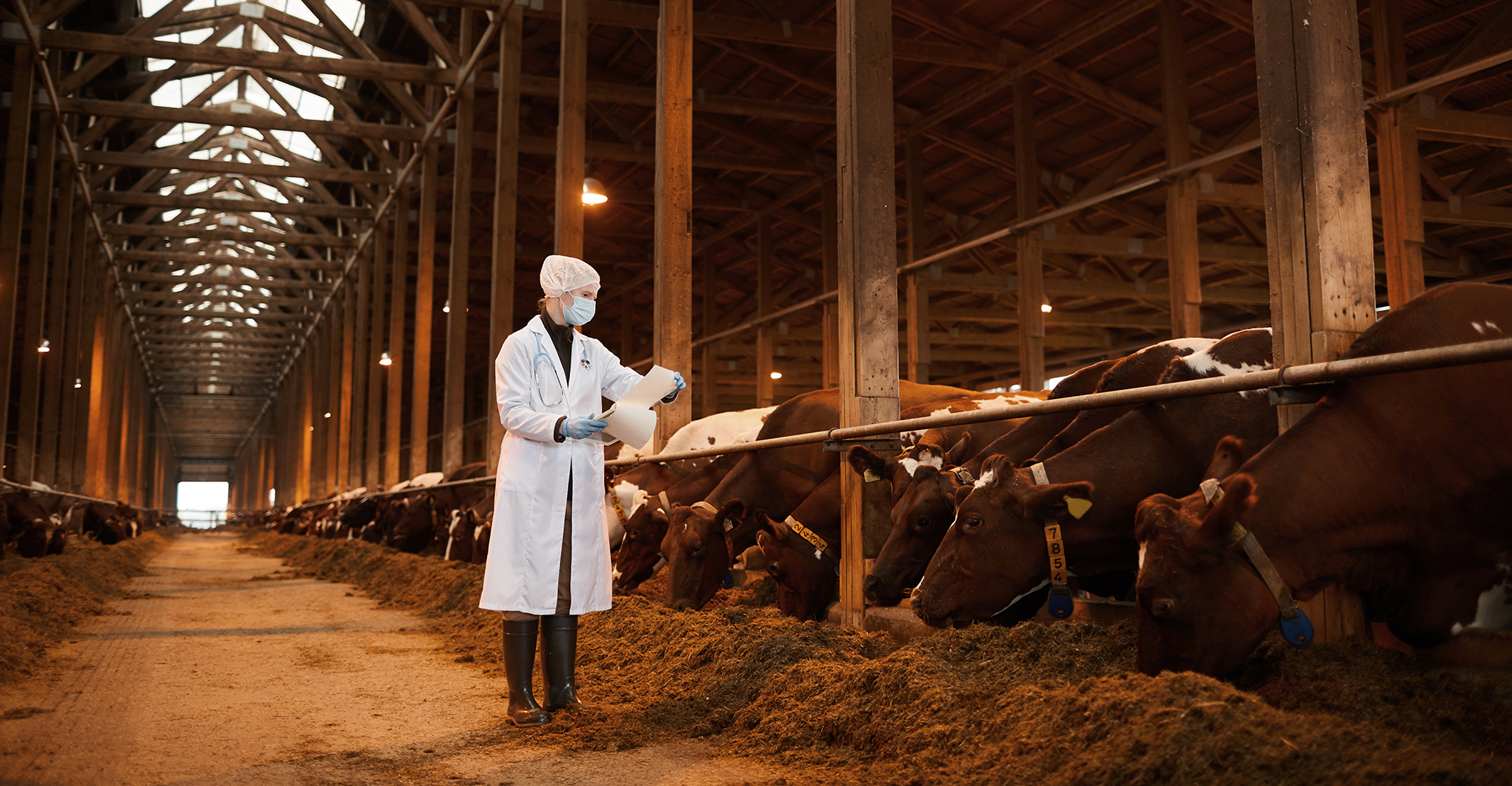 foodagriculturesystems.jpg