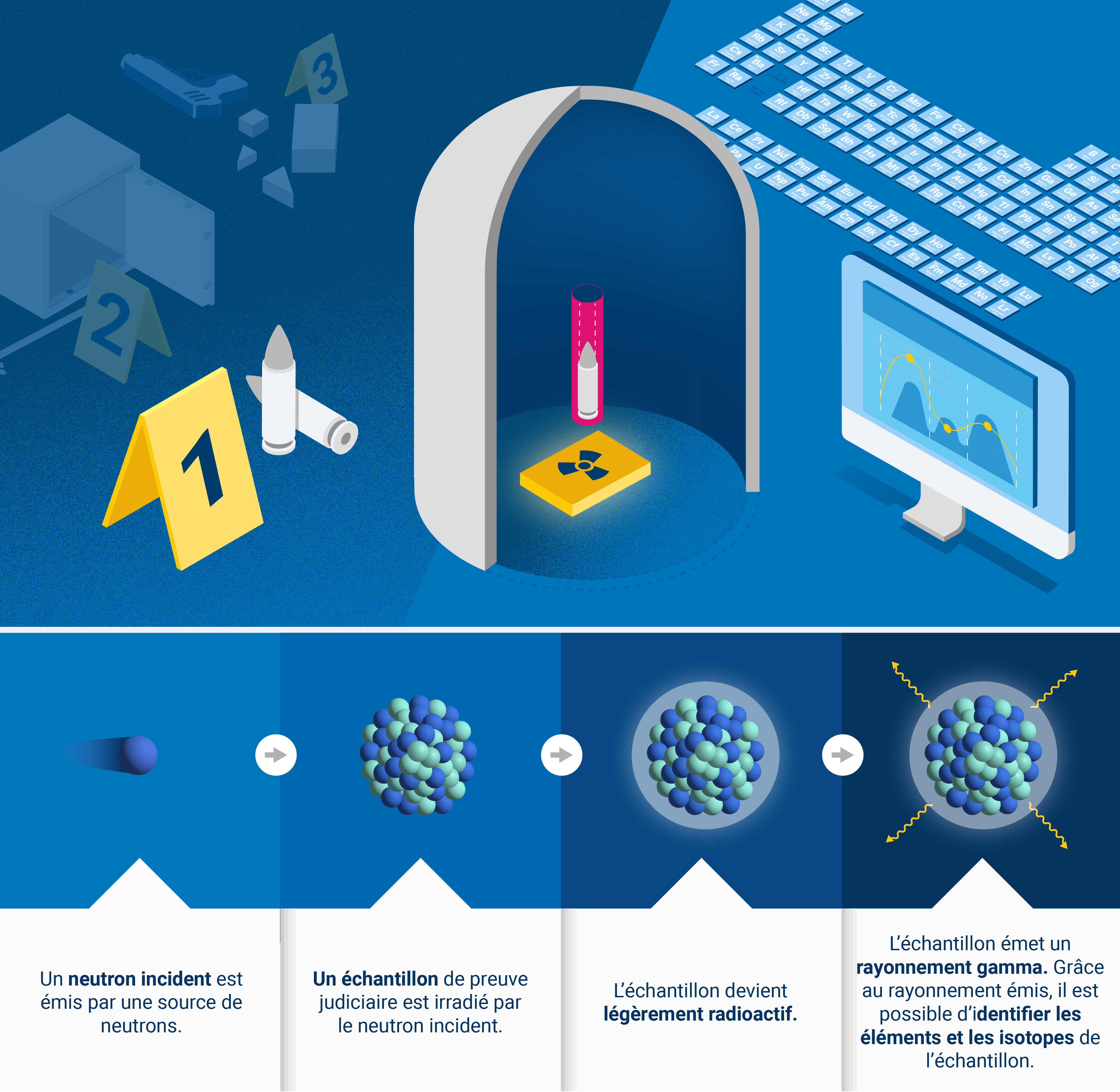 forensics-webstory-languages_fr.jpg