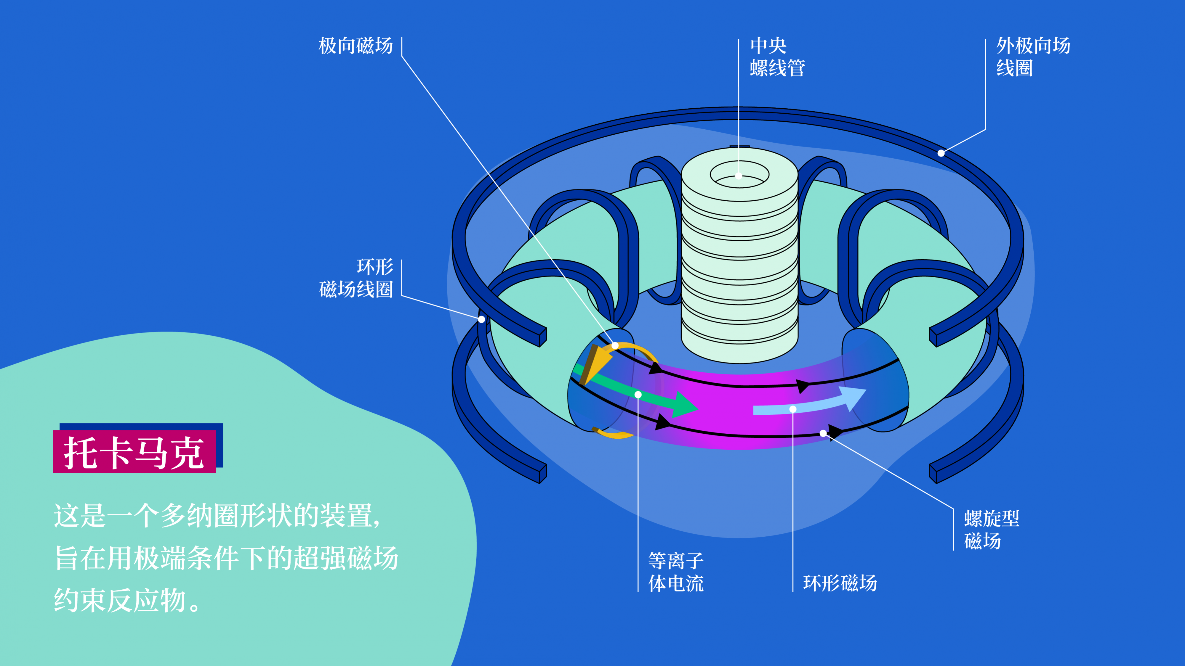 fusionexplainer_-_tokamak-ch.png