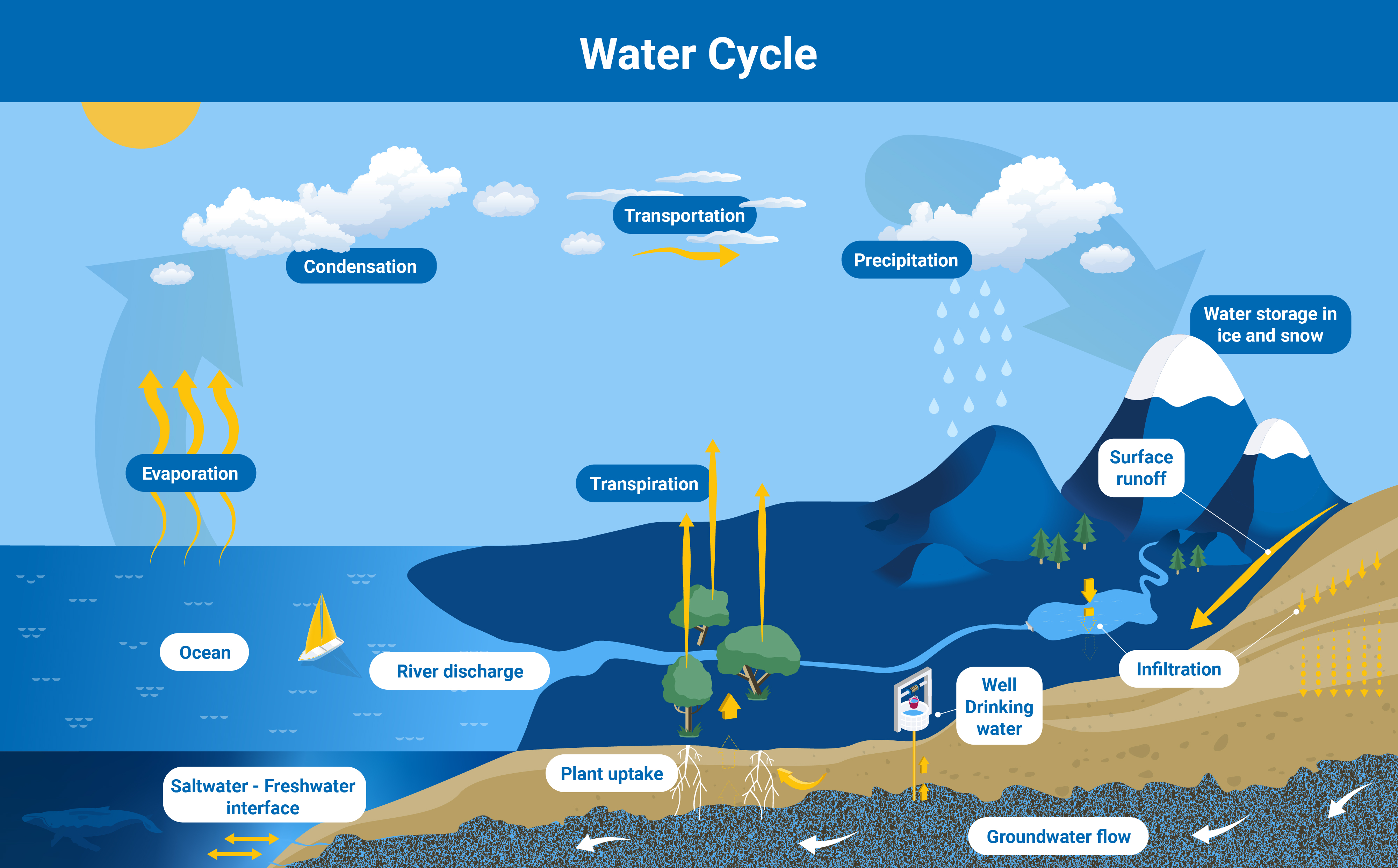 groundwater_water_cycle.jpg