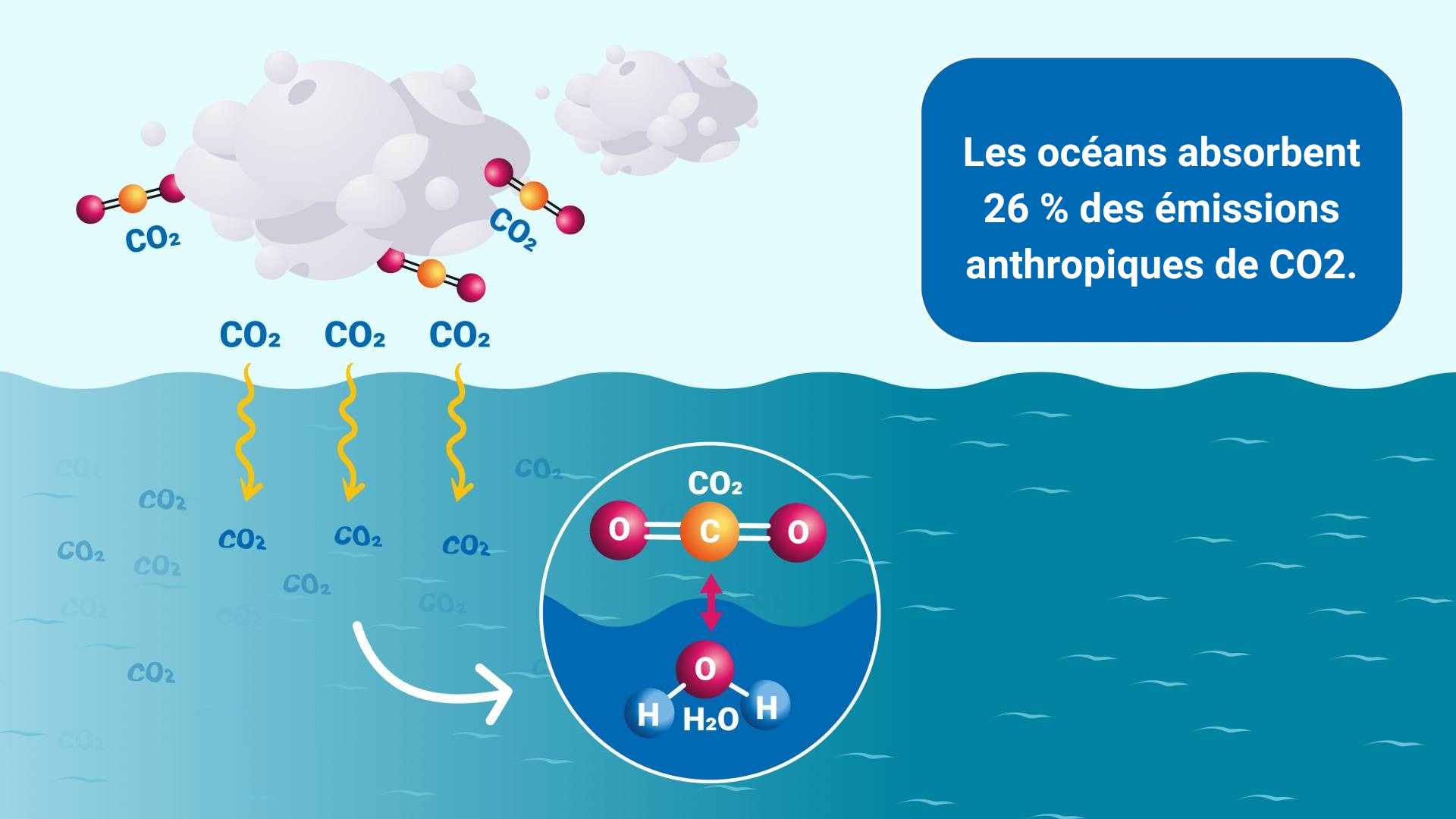 how-carbon-acidify-ocean-fr-2.png