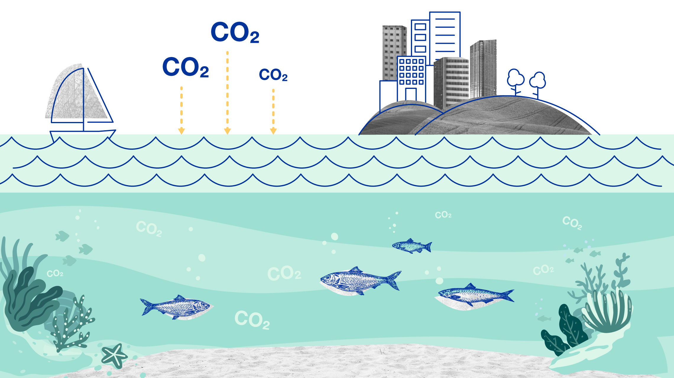 iaea-infographic-acidification-1.jpg