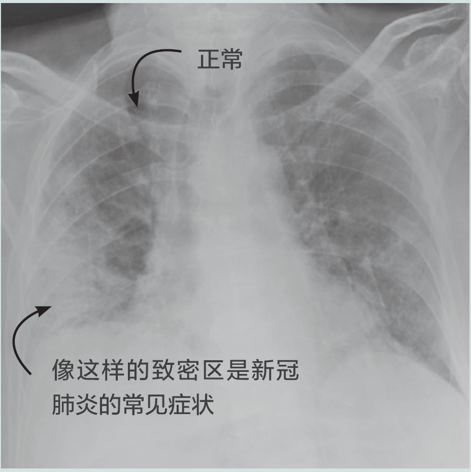 imaging-chinese-1.jpg
