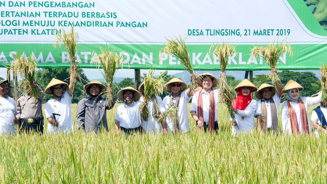indonesia-crops2-1140x640.jpg
