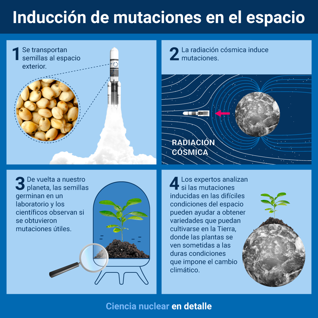 induccion_mutaciones_espacio.jpg