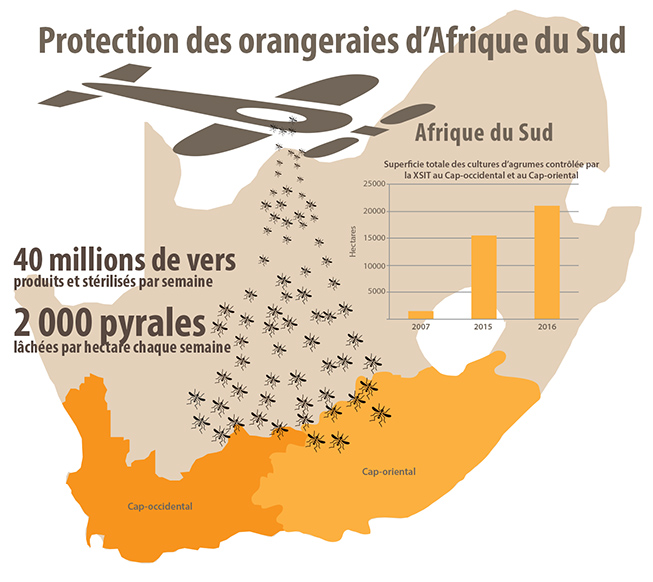 infographic-mothsrelease-fr_653x582.jpg