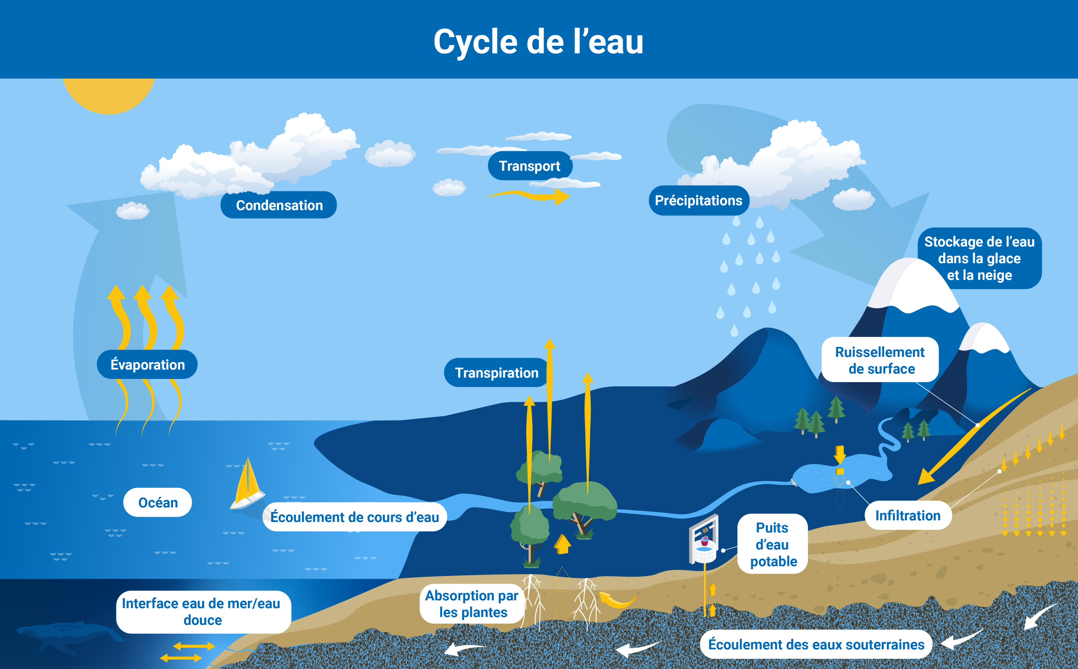 infographie_cycle_de_leau.png