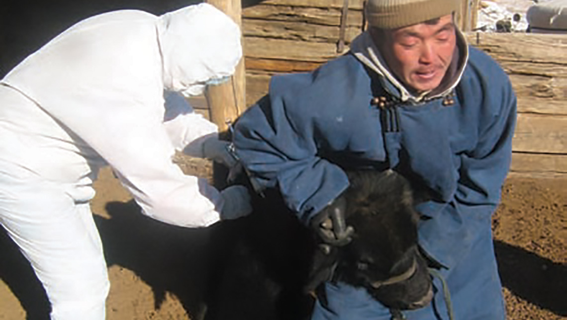 mongolia-pastoralist1140-2_0.jpg