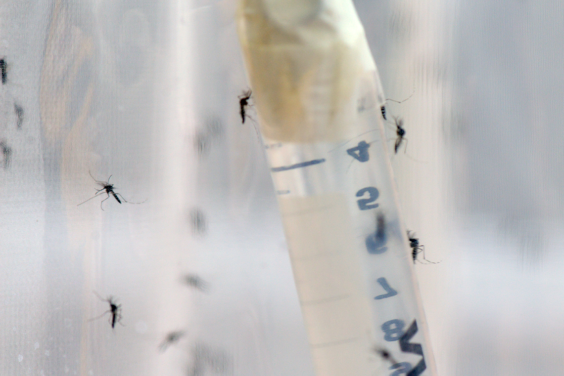 mosquito_pest_control_lab.jpg