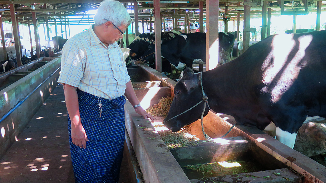 myanmar3467_1140x640.jpg