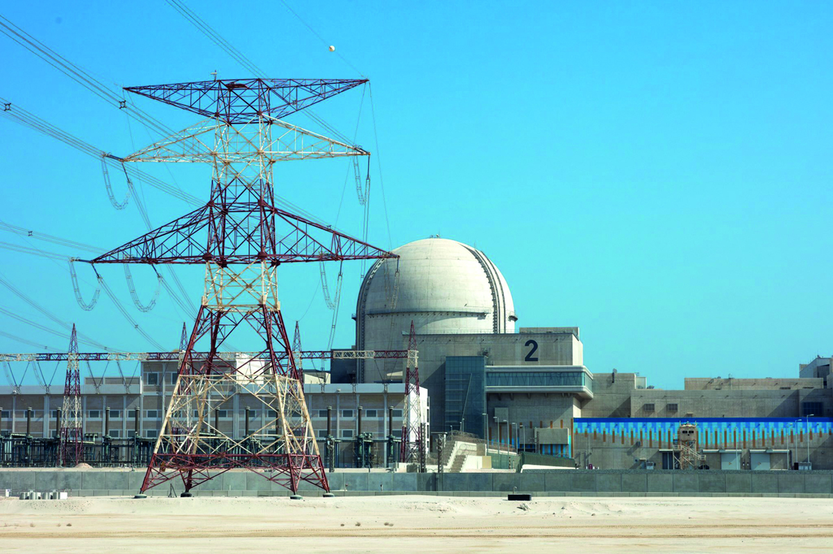 npp_uae.jpg
