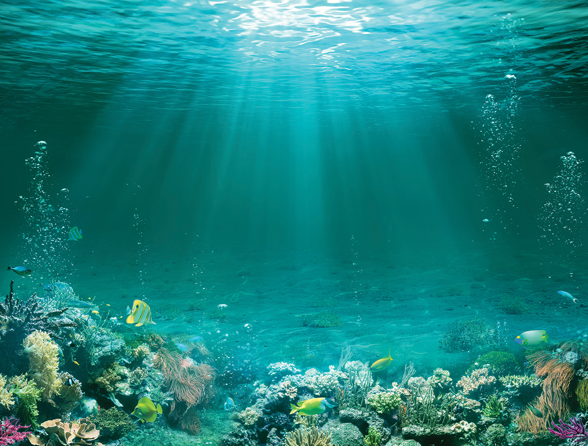 ocean.jpg