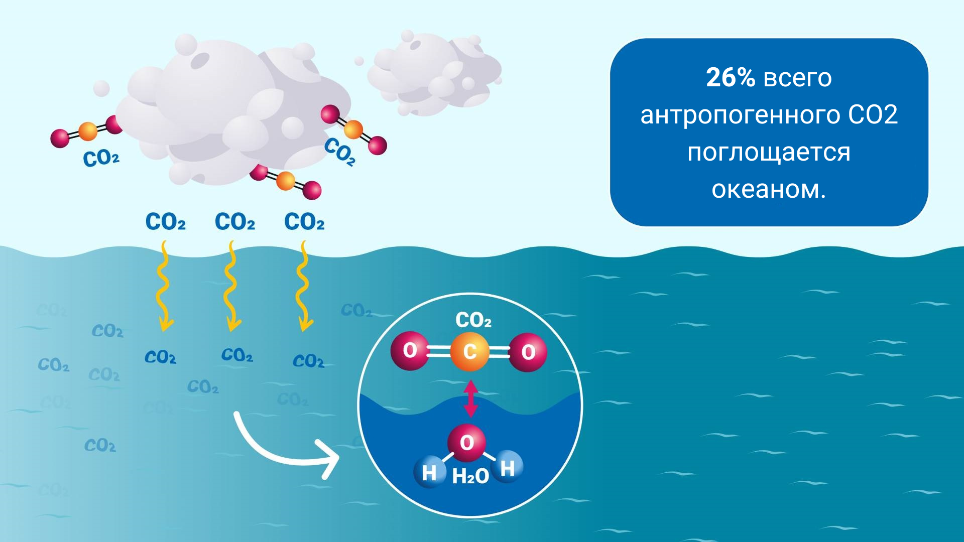 ocean_acidification_bulletin_ru_2.png