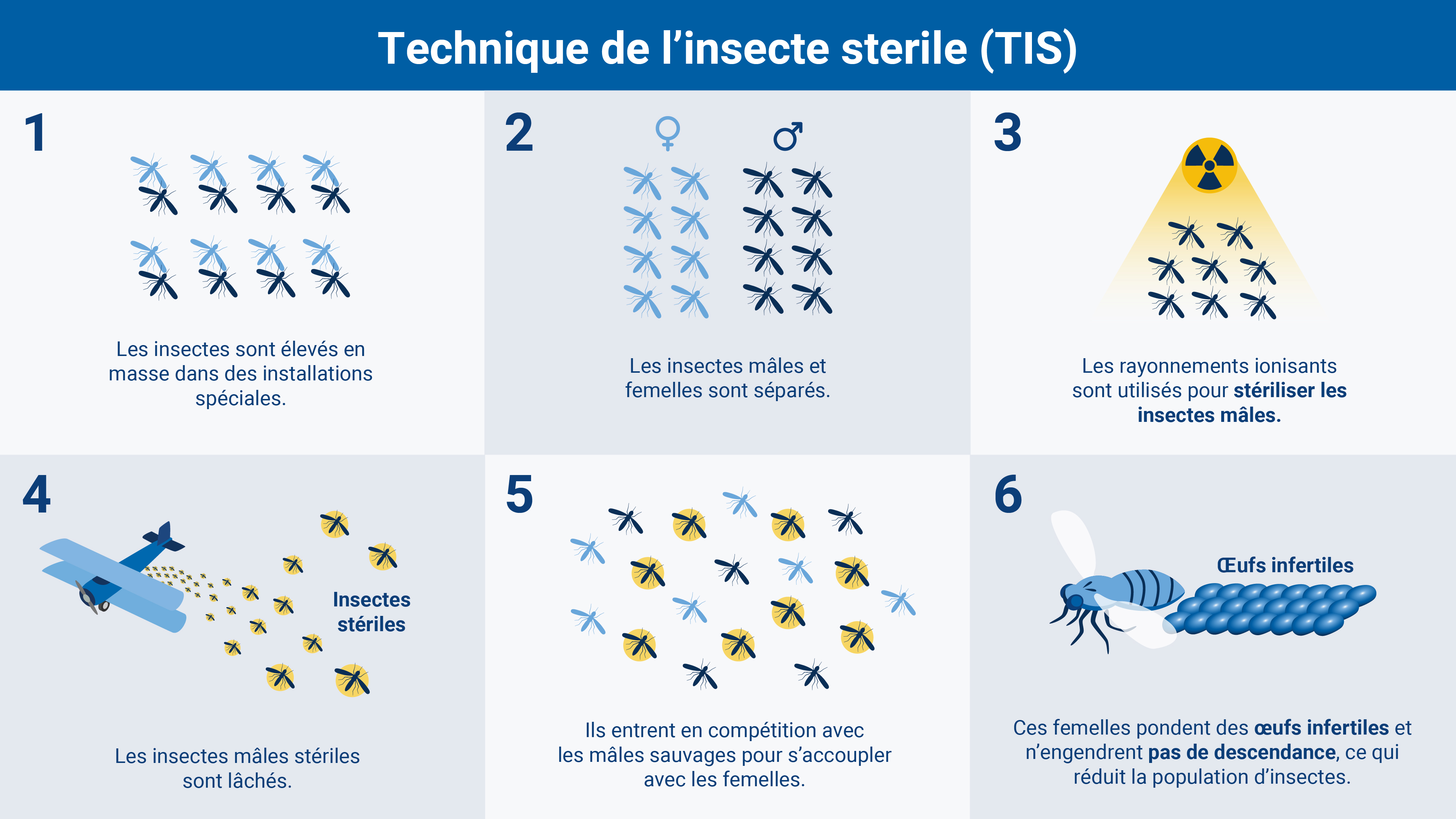 pest_control-fr_01_insect_technique_sit.jpg