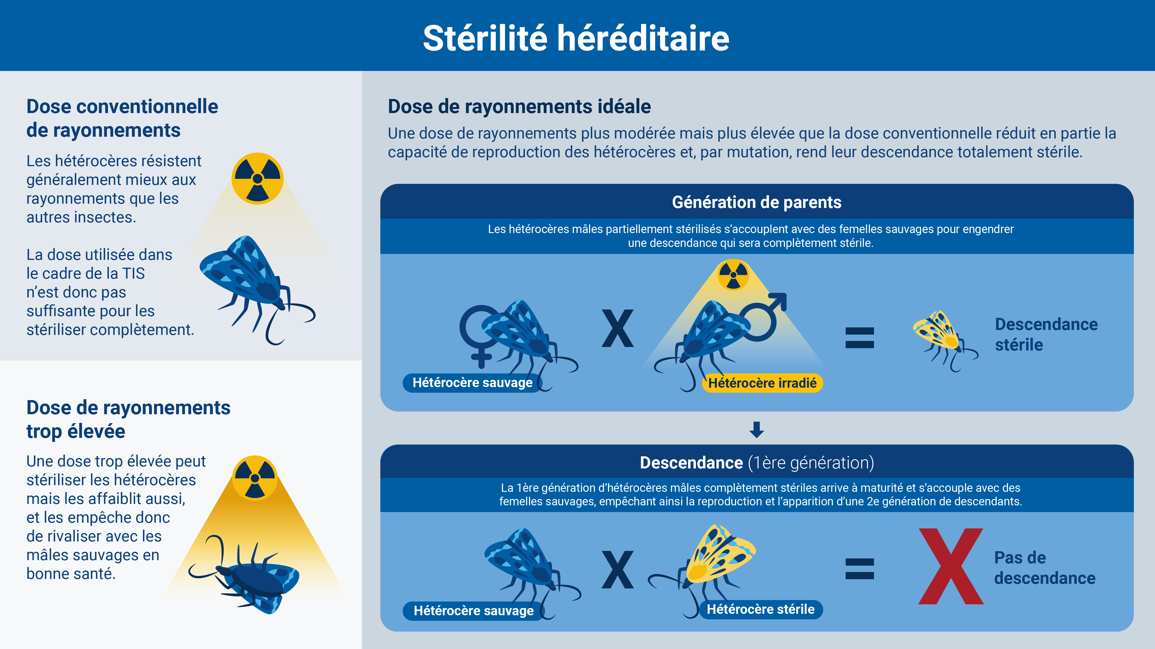 pest_control-fr_02_inherited_sterility.jpg
