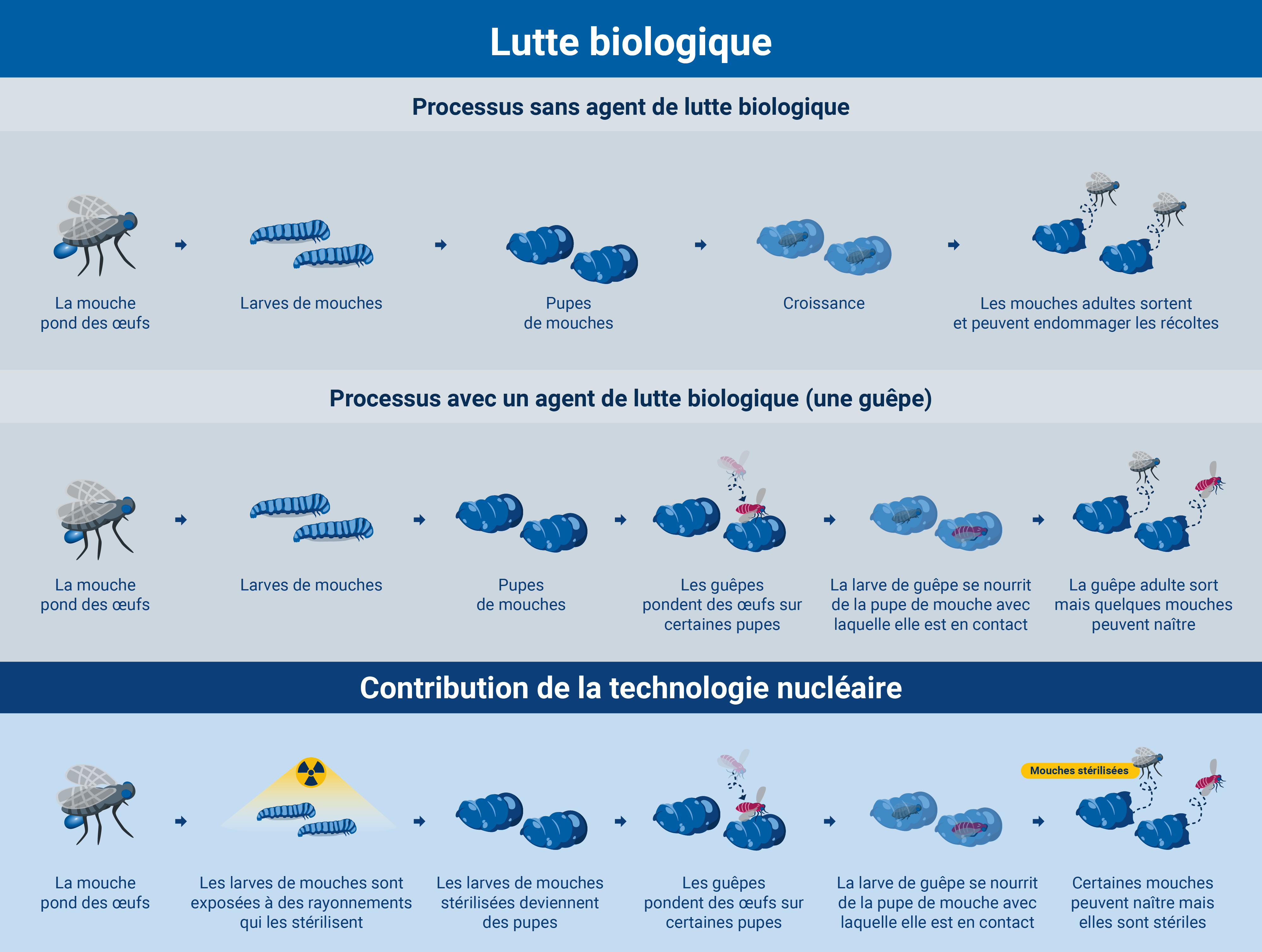 pest_control-fr_04_biological_control.jpg