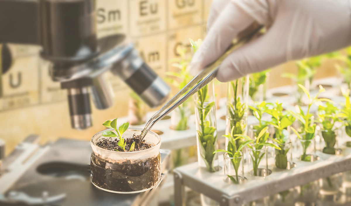 plant_breeding.jpg