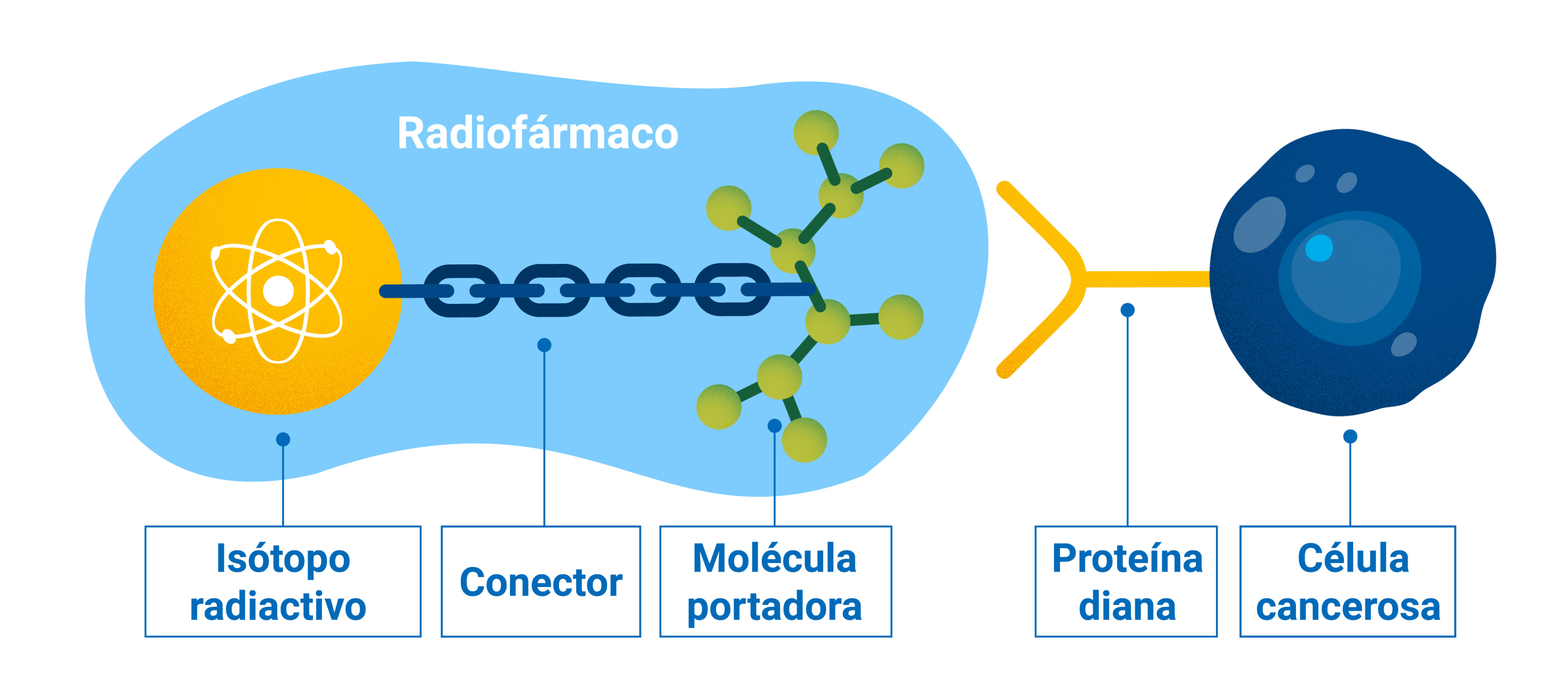 radiopharmaceuticals-sp_2-radiopharmaceuticals1.jpg