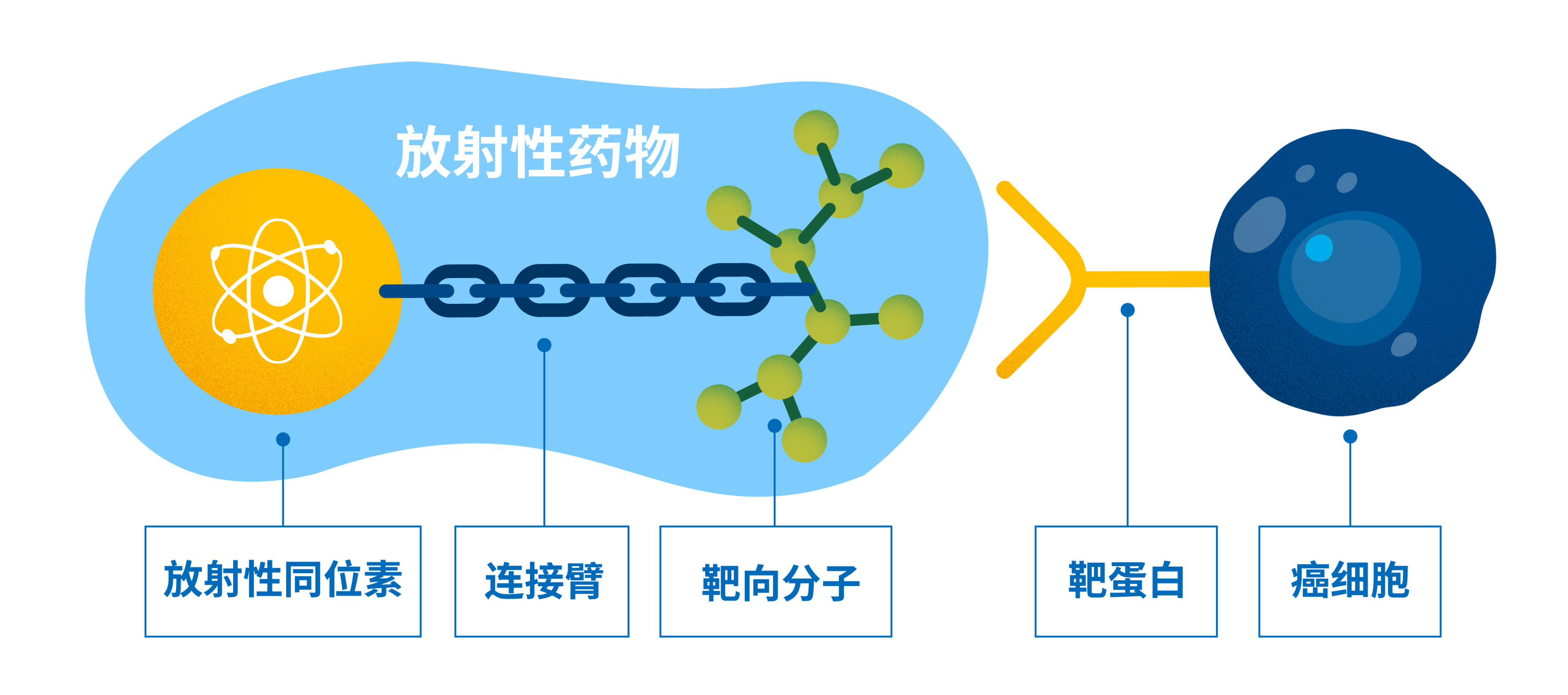 radiopharmaceuticals-webstory-ch_2-radiopharmaceuticals.jpg