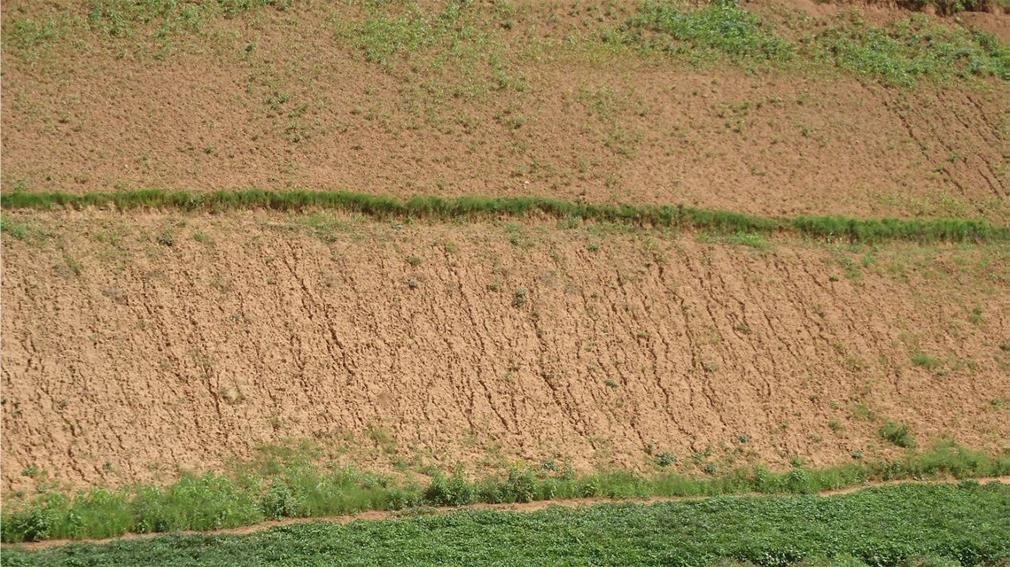rill-erosion-1140x640.png
