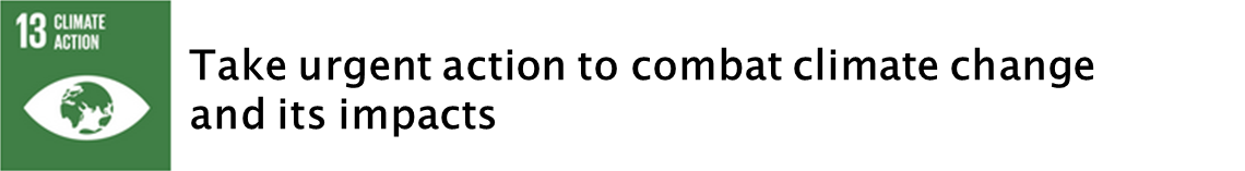 sdg13b.png