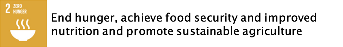 sdg2b.png