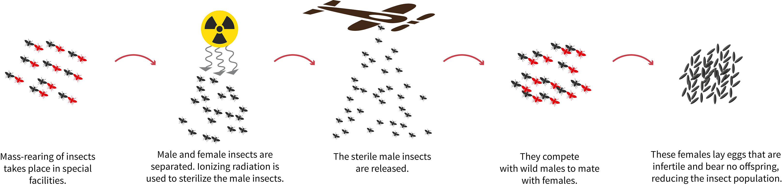 sit-infographic.png
