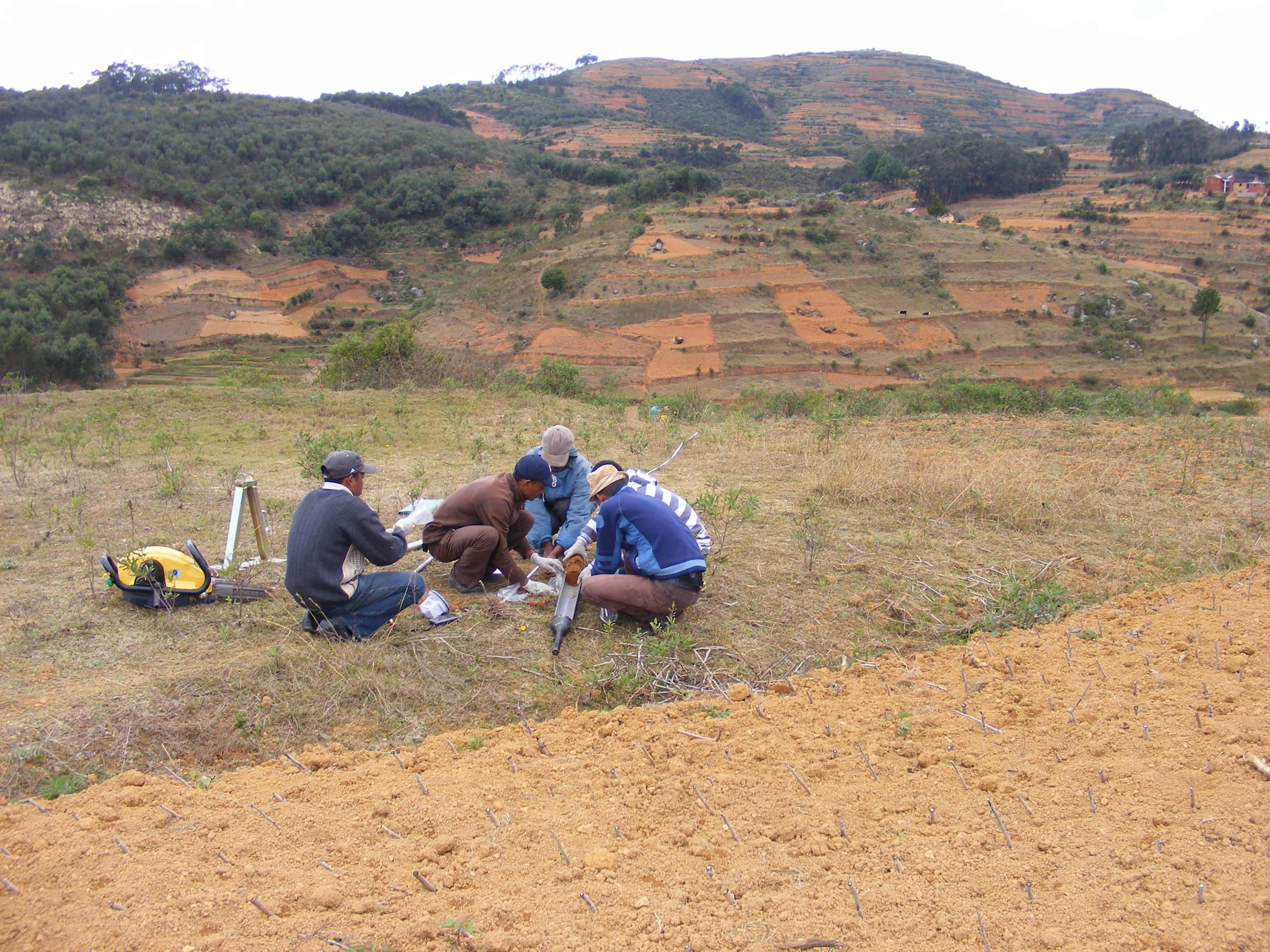 story_19_naivo_rabesiranana_instn-madagascar_-_pic3.jpg