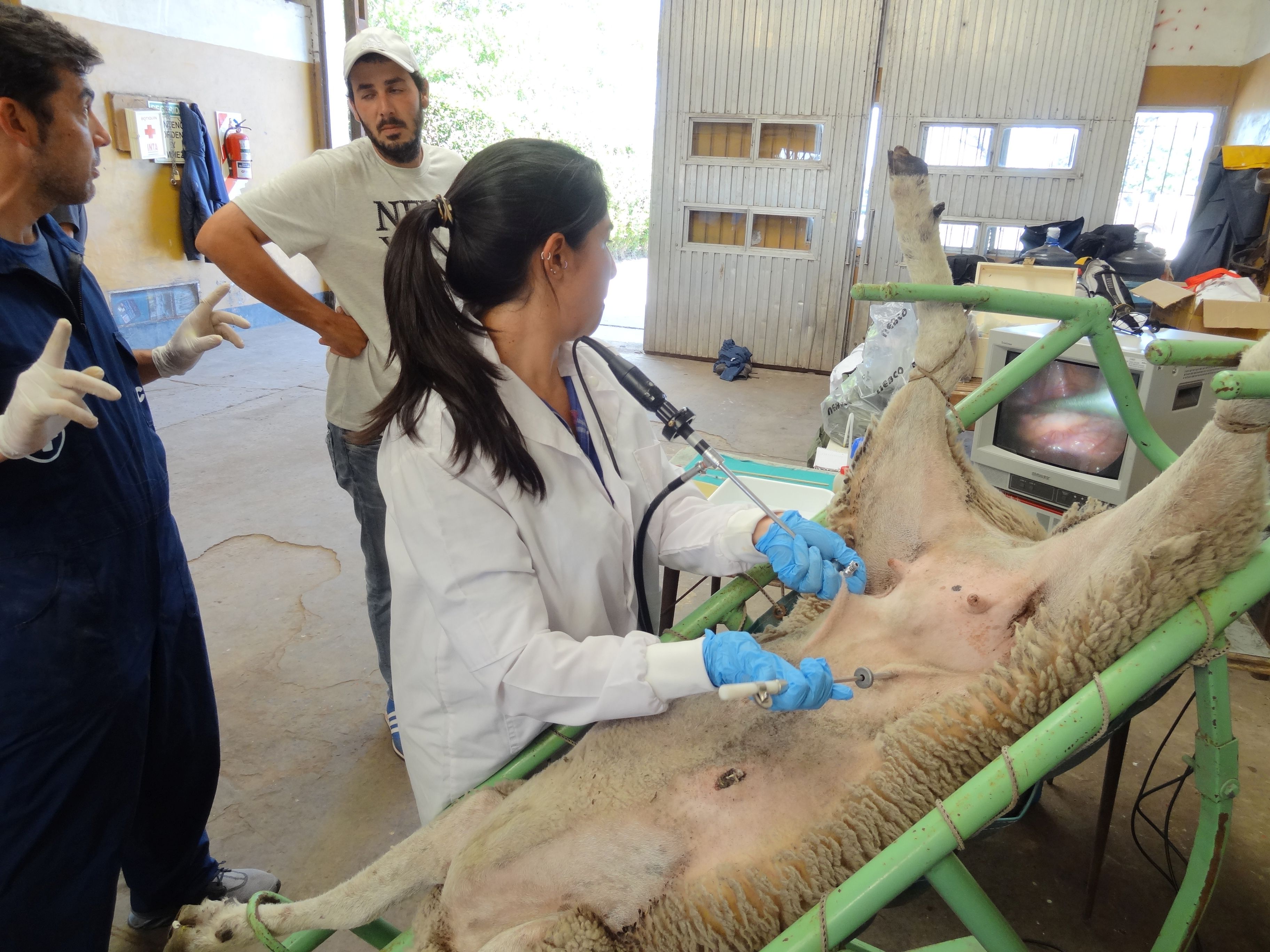 story_1_fao-iaea_m_garcia_2_.jpg
