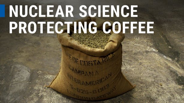 Nuclear Science protecting Coffee