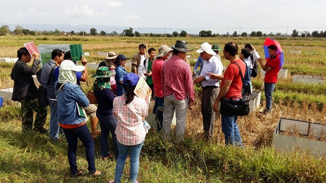 training-agriculture-officers-653x367.jpg