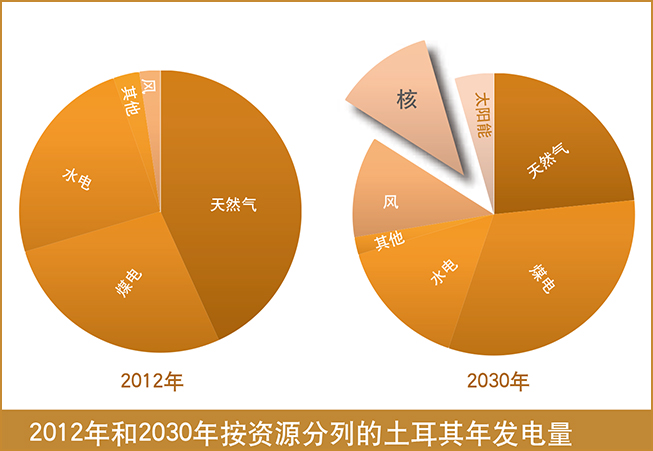 turkey-electricity2012-2030_653x451-ch.jpg