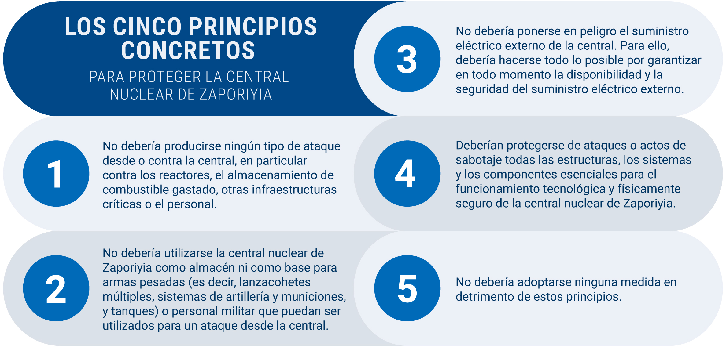 ukraine-five-principles-sp.jpg