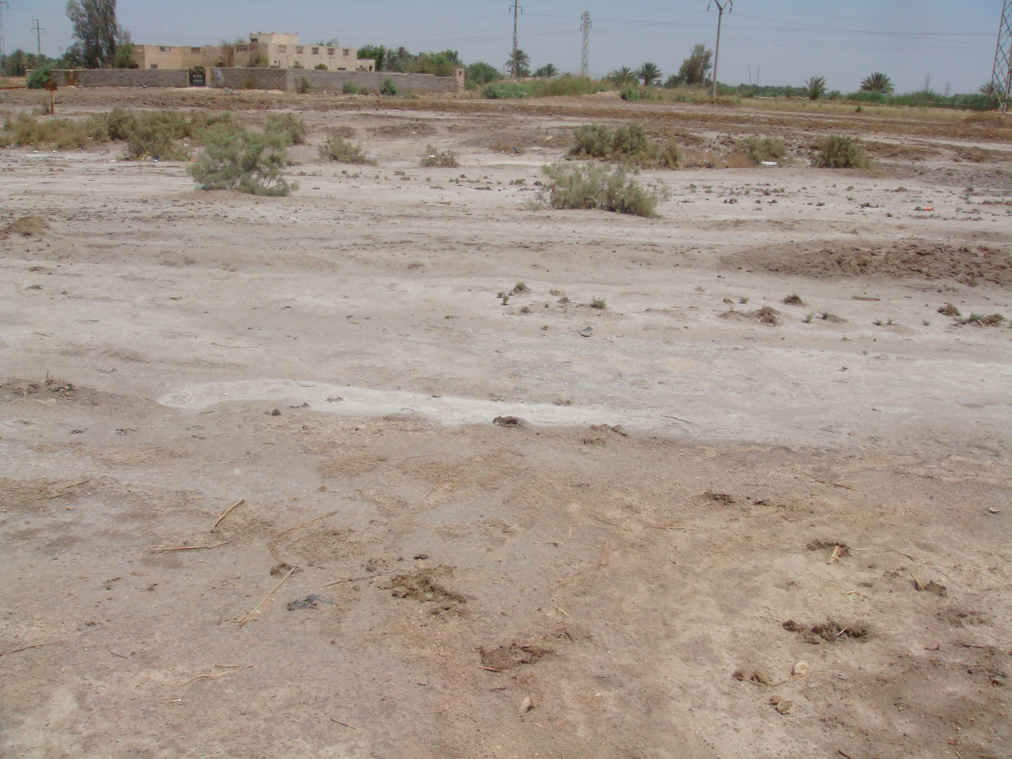 water-soluble_salts-in-soil-1140x640.jpg