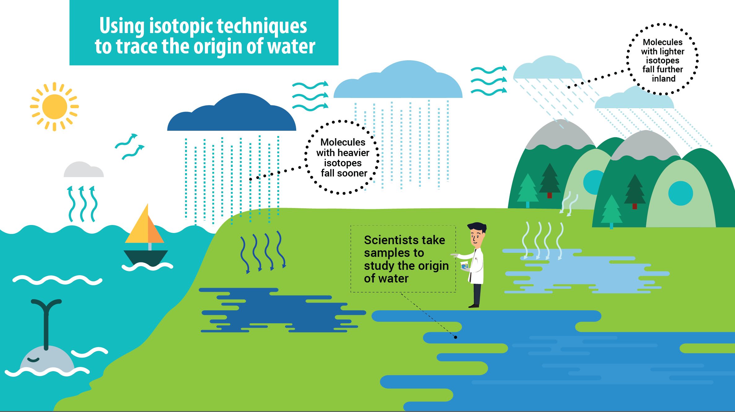 water_infographics_-02.jpg